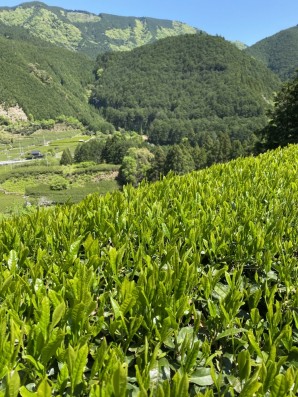 image0